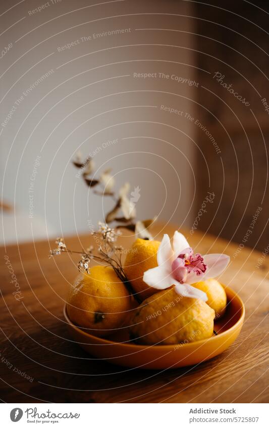 Frische Zitronen und Orchidee in heiterem Stillleben Schalen & Schüsseln frisch Frucht Blume Gelassenheit Holz Tisch rustikal Dekor natürlich Zitrusfrüchte gelb