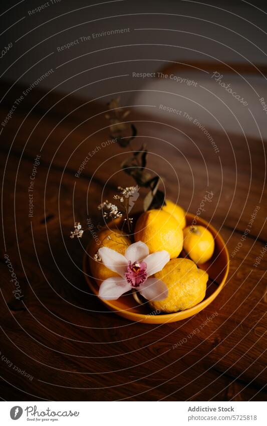 Elegante Präsentation von Zitronen und Orchideen in einer Schale Schalen & Schüsseln hölzern Oberfläche Ordnung reif Frucht Keramik filigran geblümt Eleganz