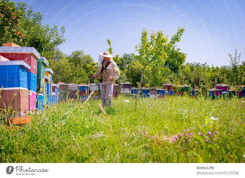Landwirt, Imker in Schutzkleidung mäht den Rasen in seinem Bienenhaus mit einem Benzin-Rasentrimmer Bienenkorb Apfel angeordnet Bienenstock Klinge botanisch