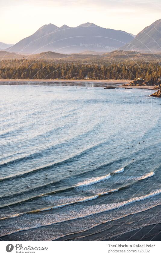 Bucht mit kleinen Inseln im Hintergrund - Viele Surfer sind im Wasser wild verwachsen cox bay Vancouver Island Bäume Baum meer Gischt Wellen Kanada