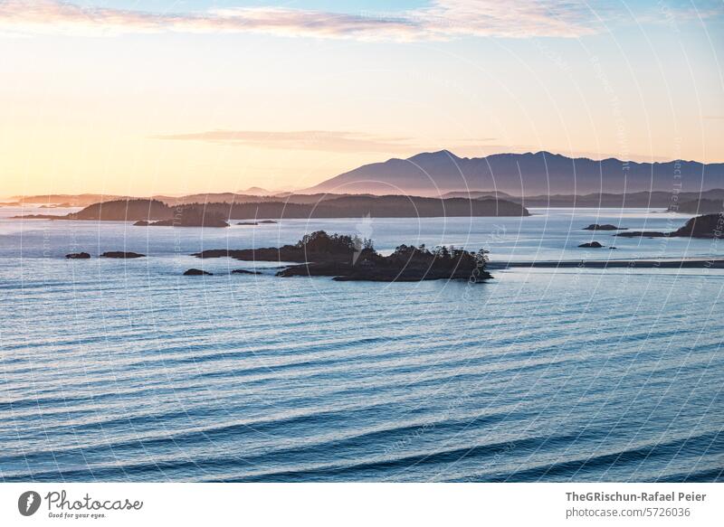 Bucht mit kleinen Inseln im Hintergrund - Abendstimmung wild verwachsen cox bay Vancouver Island Bäume Baum meer Gischt Wellen Kanada British Columbia Meer