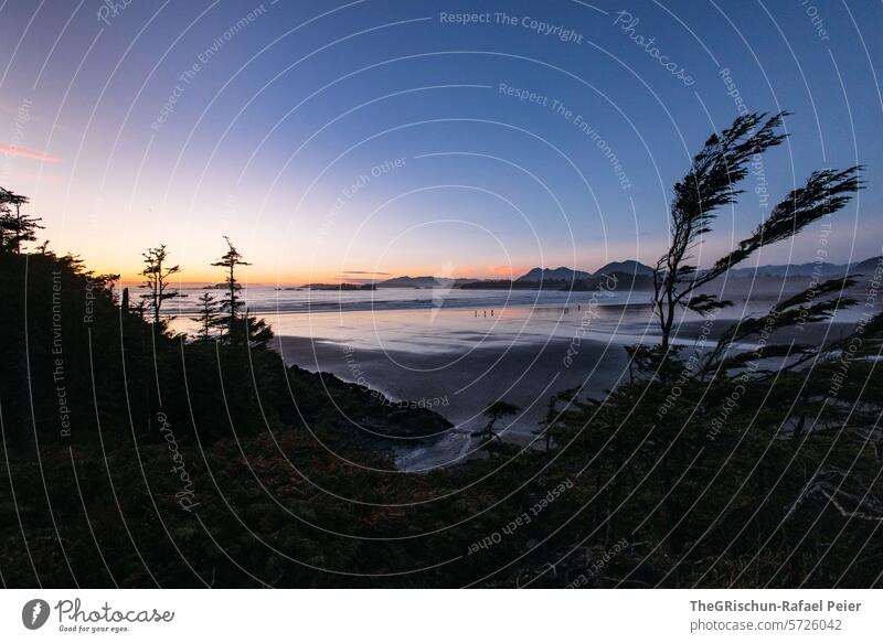 Abendstimmung am Strand mit Bäume im Vordergrund und Meer und Hügel im Hintergrund wild verwachsen cox bay Vancouver Island Baum meer Gischt Wellen Kanada