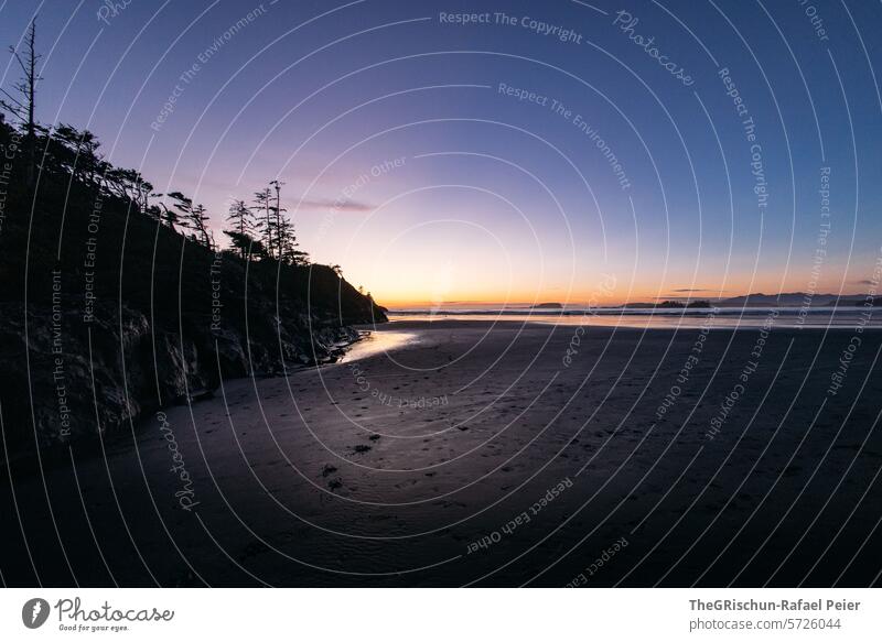 Abendstimmung am Strand mit Sand im Vordergrund und Meer im Hintergrund wild verwachsen cox bay Vancouver Island Bäume Baum meer Gischt Wellen Kanada