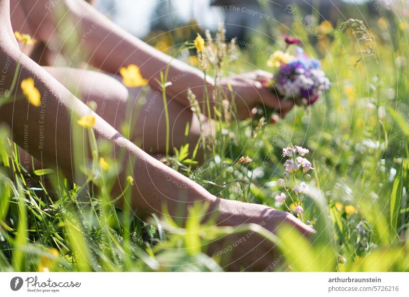 Junge Frau beim pflücken von Wiesenblumen im eigenen Garten in der Sonne wiesen Wiesenpflanzen wiesenkräuter Blume blühen blühende Blume blühende Frühlingsblume