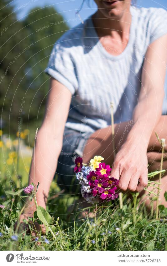 Junge Frau pflückte Weisenblumen Rotklee im eigenen Garten für Kochen mit Blumen blüten essen natur Tageslicht Blütezeit zarte Blüten natürliches Licht Frühling