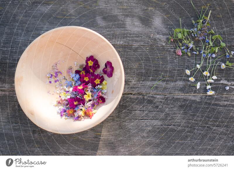 Gänseblümchen und Rotkleeblüten in einer Schale, bereit zum Kochen mit Blumen für vegane Gerichte blüht Essen Natur Blütezeit Tageslicht Frühlingsblumen