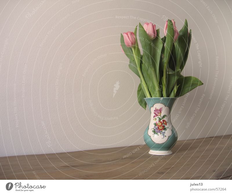 Tulpen Vase Blume mehrfarbig rosa Tisch braun Wand grün Anschnitt Kitsch Geschirr