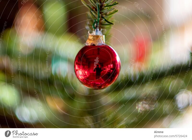 misslungenes Osterei Weihnachten Weihnachten & Advent Kitsch Baum Tannenzweig Baumschmuck Dekoration & Verzierung Glas Kugel rot Christbaumkugel hängen
