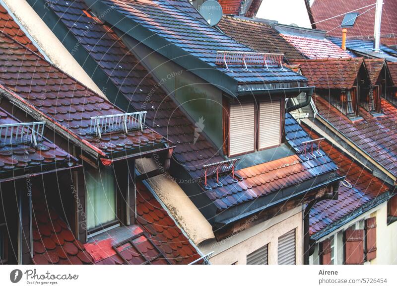 Ausgucke rot alt Architektur Kleinstadt Dach Fenster Altbau Gaube Altstadt Ziegeldach Dachgaube Süddeutschland historisch Stadt Dachschräge Dachziegel steil
