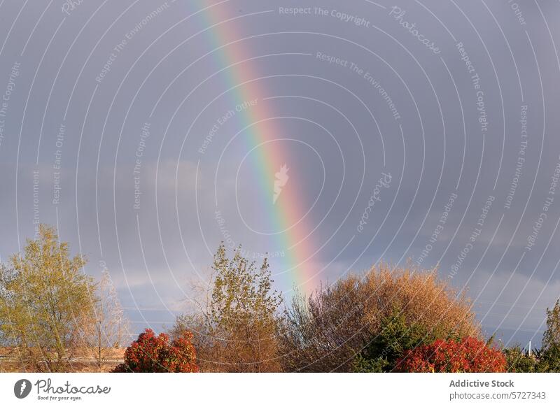Lebendiger Regenbogen über grüner Landschaft nach Regen Himmel stürmisch Grün Dusche lebhaft Bogen üppig (Wuchs) Natur Wetter Erscheinung Farbe Spektrum