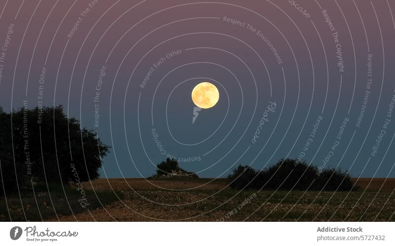Vollmond über einer ruhigen ländlichen Landschaft Mond Dämmerung Himmel Gelassenheit Bäume Feld Ruhe Natur Abenddämmerung glühen Aufstieg im Freien himmlisch
