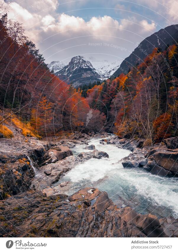 Herbstfarben im Bujaruelo-Tal, Pyrenäen Odese Fluss Berge u. Gebirge Laubwerk schneebedeckt Landschaft Natur pulsierend farbenfroh malerisch wild im Freien