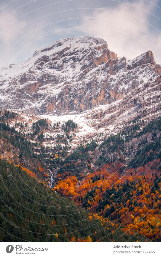 Herbstlicher Schnee in den Pyrenäen im Bujaruelo-Tal Berge u. Gebirge orange Baum Laubwerk pulsierend Natur malerisch Odese Wald Landschaft fallen ruhig Wildnis
