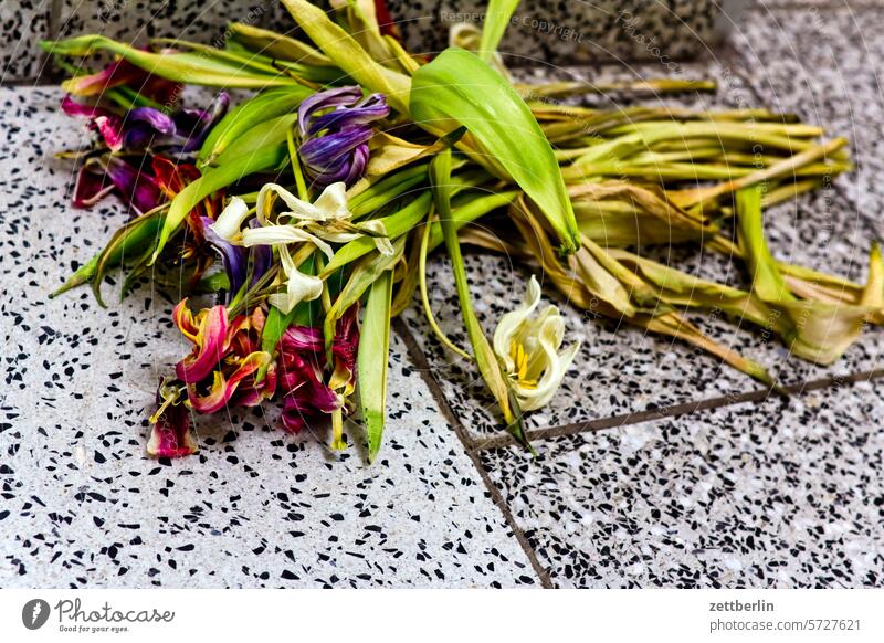 Verwelkte Blumen blume strauß blumenstrauß alt verwelkt blüte verblüht tulpe narzisse treppe absatz treppenabsatz liegen verloren müll biomüll pflanze