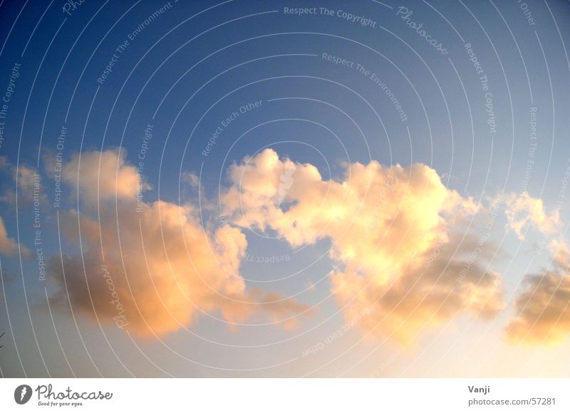himmlisch Wolken Sonnenuntergang Stimmung weich Romantik Vertrauen Frieden Luftverkehr Himmel blau