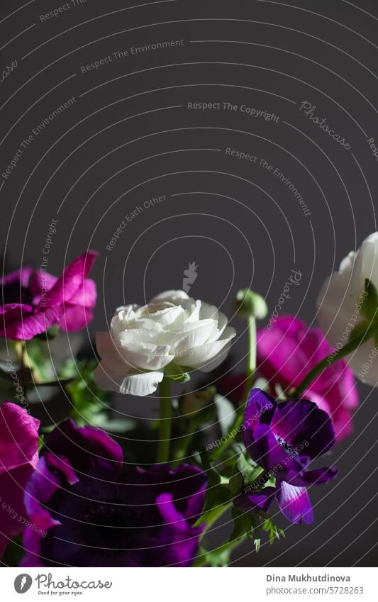 Blumenstrauß aus rosa und lila Blumen Großaufnahme auf grauem Hintergrund mit Sonnenlicht. Ich kann mir Blumen kaufen. Alles Gute zum Geburtstag oder Jahrestag.