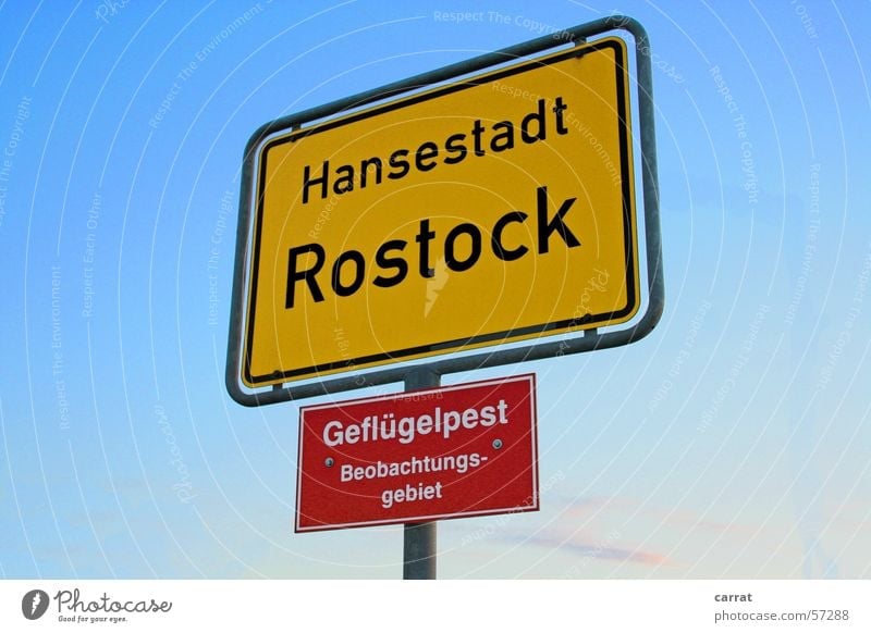 !Mind The Traffic Signs! Vogelgrippe Verkehrsschild Rostock Ortsschild gelb rot Panik Hinweisschild Warnhinweis blau Himmel Schönes Wetter hansestadt Angst