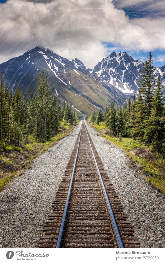 Eisenbahn zum Denali-Nationalpark, Alaska mit beeindruckenden Bergen national Park Hintergrund schön blau braun Farbe denali Wald grün Reise Landschaft