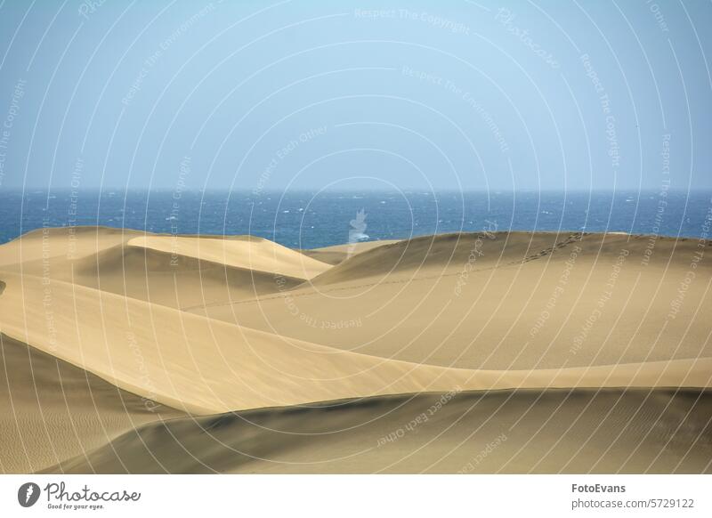 Sanddünen am Meer Horizont Maspalomas trocknen endlos Natur Wasser Gran Canaria Hintergrund MEER Morgen Düne Strand Spanien golden Morgenlicht Europa