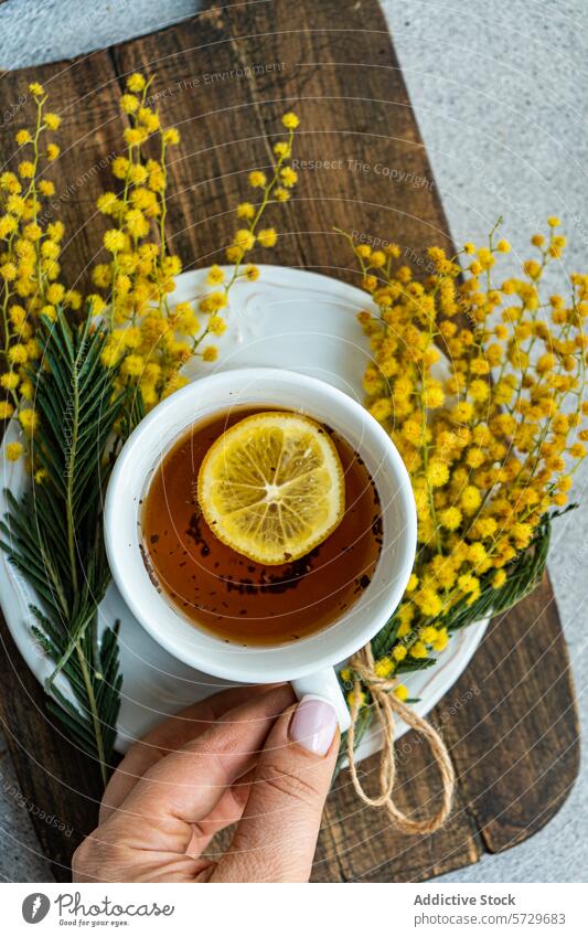 Die Hand einer anonymen Person hält anmutig eine weiße Teetasse mit Zitrone auf einem Holzbrett, ergänzt durch einen Strauß gelber Mimosenblüten Tasse Blume