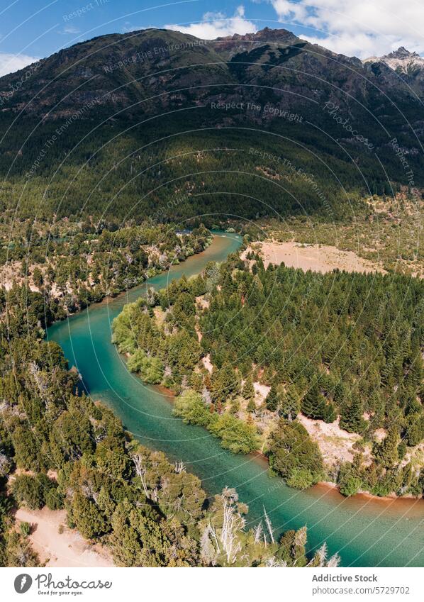 Luftaufnahme eines ruhigen türkisfarbenen Flusses, der sich durch einen üppigen Wald im Herzen des argentinischen Patagoniens schlängelt und die Essenz der unberührten Wildnis einfängt
