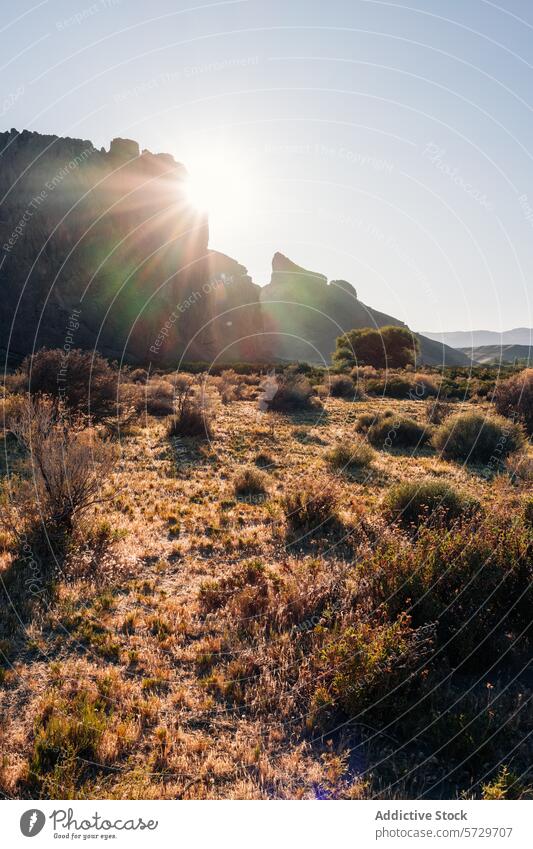 Die Sonnenstrahlen brechen über eine zerklüftete Klippe in der patagonischen Wildnis und beleuchten das Gestrüpp und das trockene Gras an einem heiteren Morgen