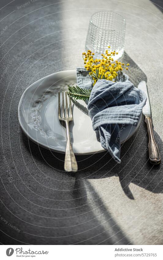 Draufsicht auf einen frisch gedeckten Tisch im Freien mit weißem, geprägtem Teller, silbernem Besteck, einer blauen Leinenserviette und einem Zweig leuchtend gelber Mimosenblüten