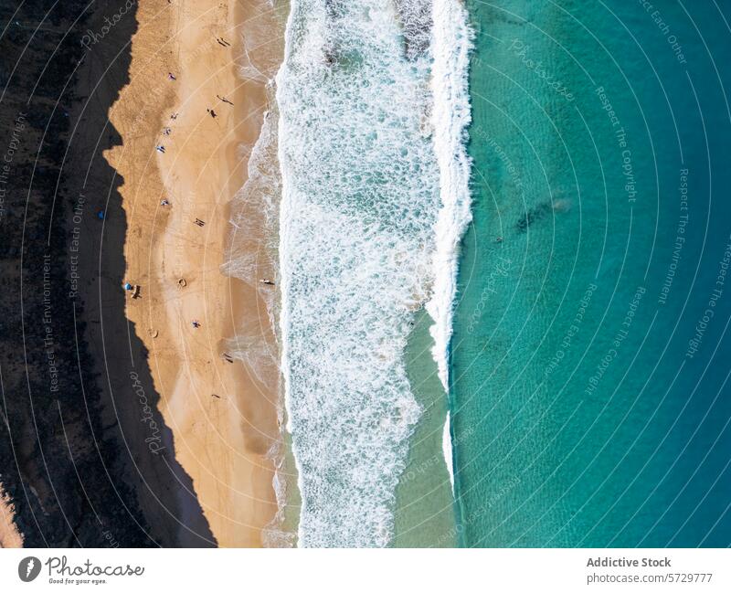 Luftaufnahme von Sandstrand und Wellen auf Fuerteventura Antenne Dröhnen Strand winken MEER türkis Wasser Ufer Meer Küste Küstenlinie golden sandig malerisch