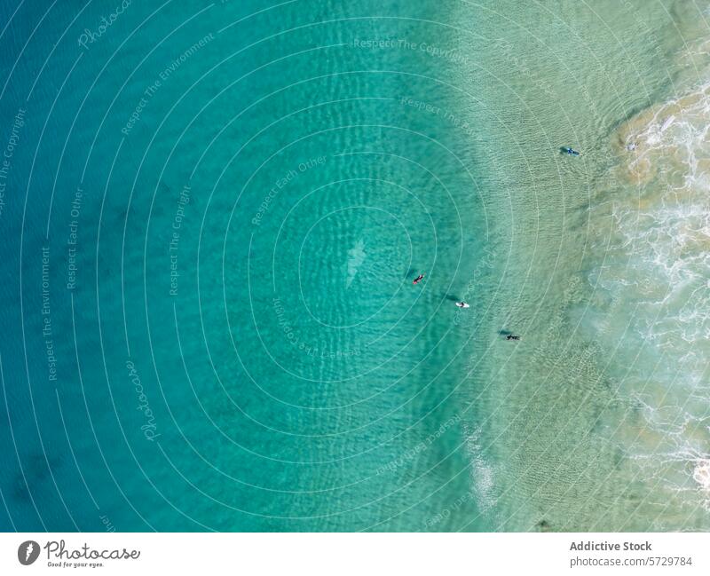 Luftaufnahme von Schwimmern im klaren Wasser vor der Küste Fuerteventuras Antenne Dröhnen Bild übersichtlich Kristalle Gelassenheit Ruhe Strand MEER Meer türkis