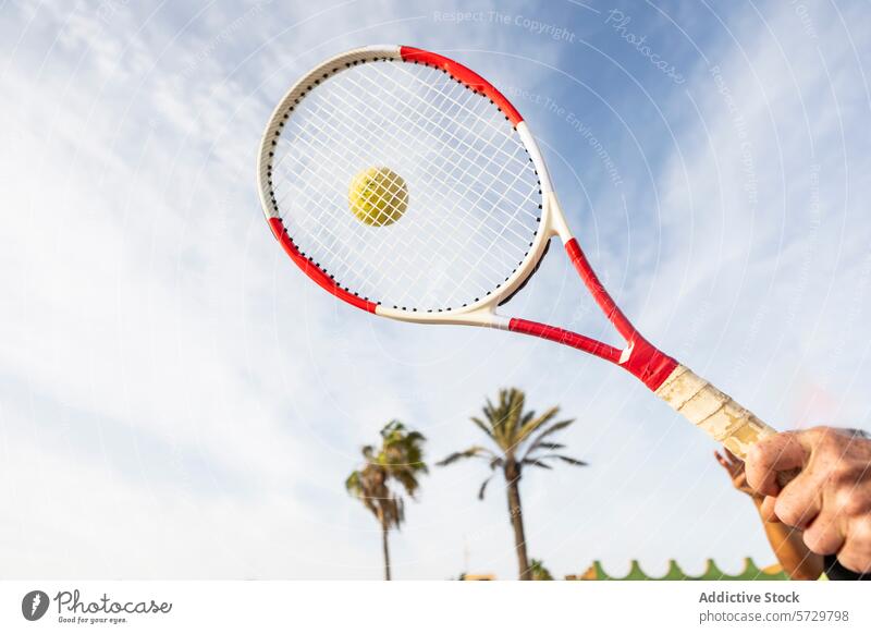 Anonymer Tennisspieler schwingt Schläger unter sonnigem Himmel Remmidemmi Ball pendeln Spieler Arme Nahaufnahme blau Handfläche Baum im Freien Sport Aktion