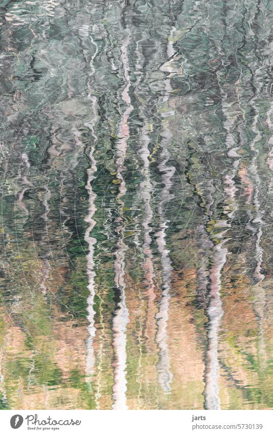 Wald im Wasserspiegel Bäume See Spiegelung Wasseroberfläche Wasserspiegelung abstrakt Reflexion & Spiegelung Ruhe Idylle friedlich Erholung ruhig Seeufer Natur