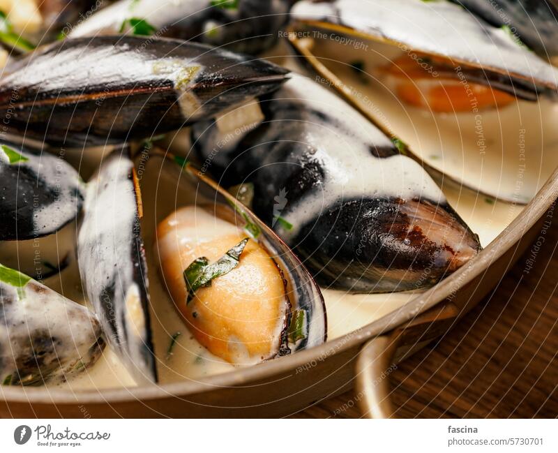 Cremige Muscheln auf hölzernem Hintergrund Miesmuschel Pfanne cremig Meeresfrüchte Lebensmittel Saucen Speise Restaurant gekocht lecker MEER Mahlzeit Küche