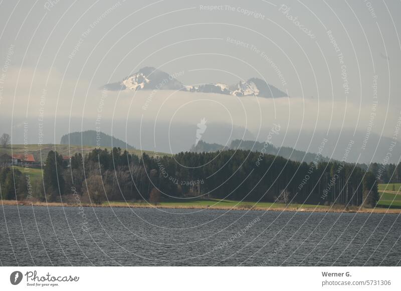Berge mit See im Morgennebel Landschaft Natur Wolken Stimmung Alpen Wasser Ferien & Urlaub & Reisen Tourismus Menschenleer Erholung Ausflug Idylle ruhig
