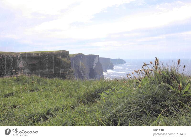 Klippen von Moher I Irland Natur Landschaft kilometerweit Cliffs of Moher Naturschauspiel Sehenswürdigkeit Meer Atlantik Blick übers Meer Felsen