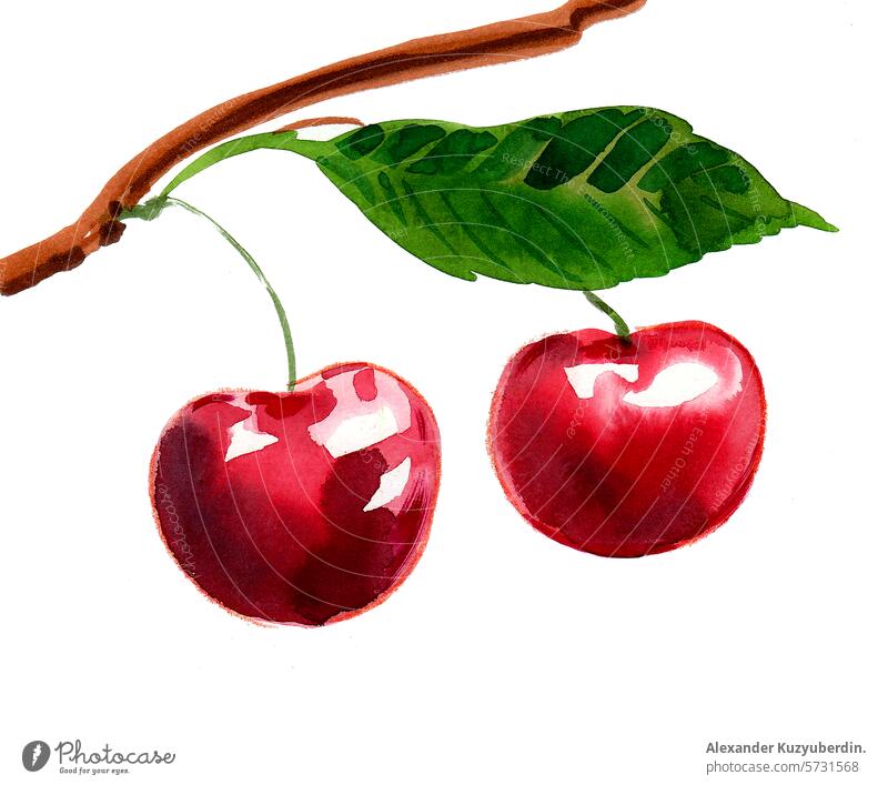 Ein Paar rote Kirschen. Hand gezeichnet Aquarell Illustration Früchte Lebensmittel Kunst Kunstwerk Wasserfarbe Malerei Skizze Veganer süß organisch