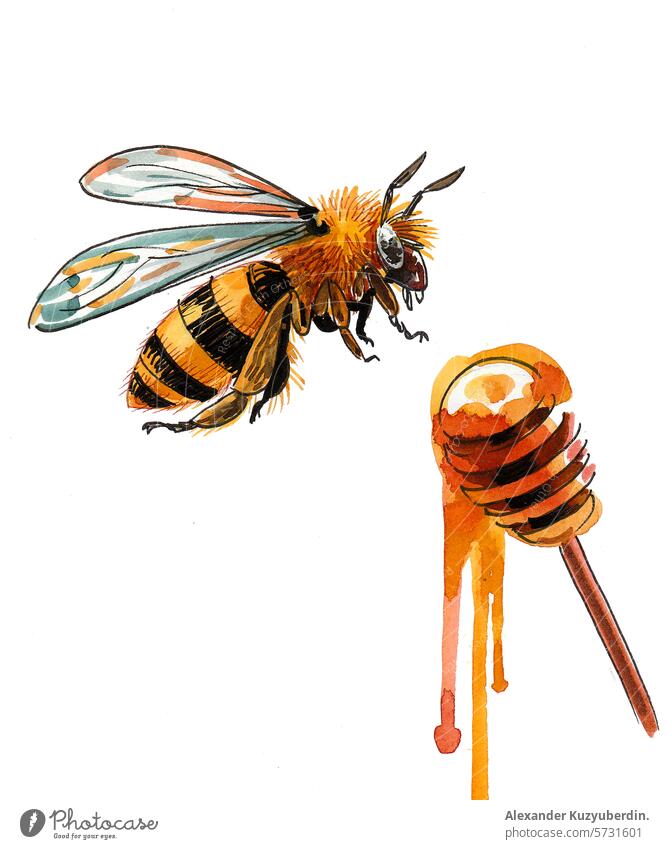 Honig und fliegende Biene. Hand gezeichnet Aquarell Skizze Liebling süß Lebensmittel Tier Wasserfarbe Malerei Kunst Kunstwerk Zeichnung