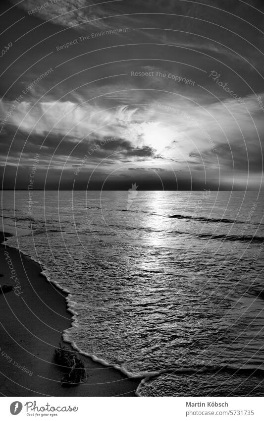 Sonnenuntergang am Meer in schwarz-weiß verträumt. Sandstrand im Vordergrund Sonnenstrahlen Sonnenschein Reflexion & Spiegelung Ostsee Küste winken reisen