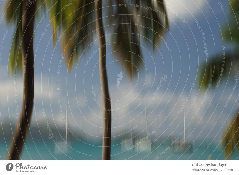 Karibik | Palmen, Meer und weisse Boote | Bewegungsunschärfe Strand Palmenstrand grün türkis hellblau Ferien & Urlaub & Reisen Palmenwedel Sommer