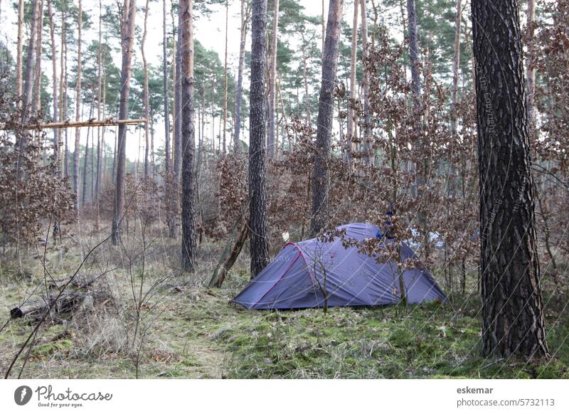 Zelt im Wald - wild campen Naturschutz Wasser Fangschleuse Umweltschutz Aktivismus Aktivität Hambacher Forst Brandenburg Grünheide Tesla Hängematte Klimawandel