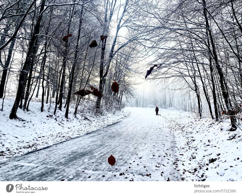 Tagblätter - Waldweg im Schnee mit Kind und Schlitten waldweg winter kälte laub