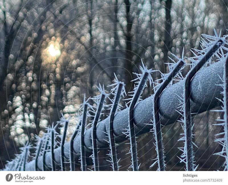 Stachelzaundraht - Eiskristalle am akalten Bauzaun im Gegenlicht der Wintersonne eiskristalle kälte frost gegenlicht