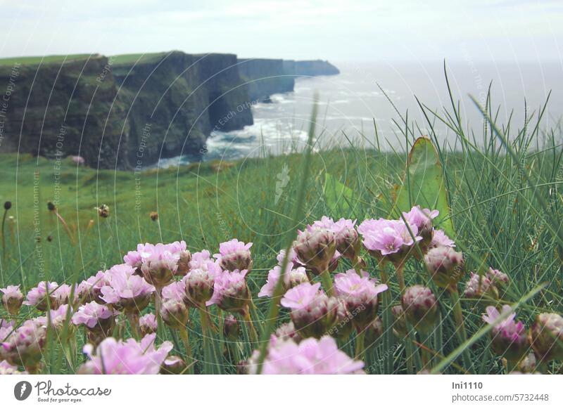 Klippen von Moher III Irland Natur Landschaft kilometerweit Cliffs of Moher Naturschauspiel Sehenswürdigkeit Meer Atlantik Blick übers Meer Felsen