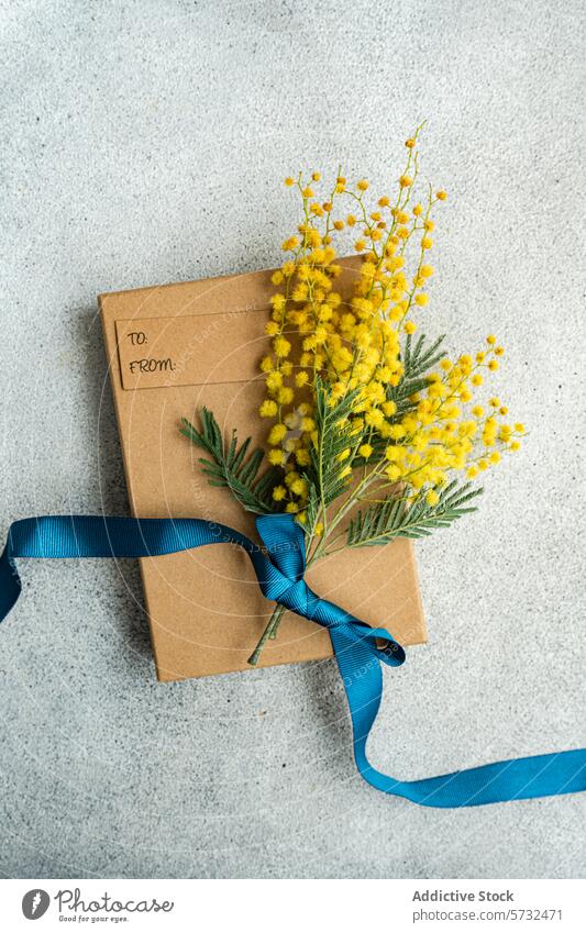 Elegante Geschenkschachtel mit Mimosenblüten und Schleife verziert Kasten Blume Bändchen blau Satin Kraft Papier pulsierend gelb texturiert Hintergrund grau