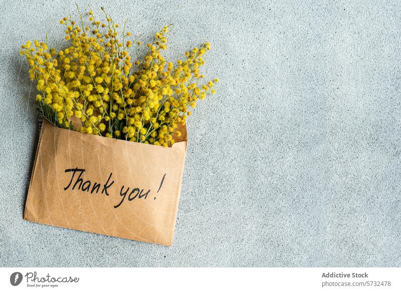 Umschlag mit Mimosenblüten und einer Dankesbotschaft Kuvert Blume danke Nachricht Dankbarkeit Wertschätzung hell gelb Kraftpapier grauer Hintergrund Blütezeit