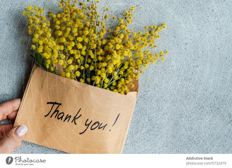 Blumenstrauß aus Mimosenblüten mit Dankeskarte danke Hinweis Kuvert Hand Kraftpapier gelb Wertschätzung Gruß Geschenk Dankbarkeit Nachricht Skript Handschrift