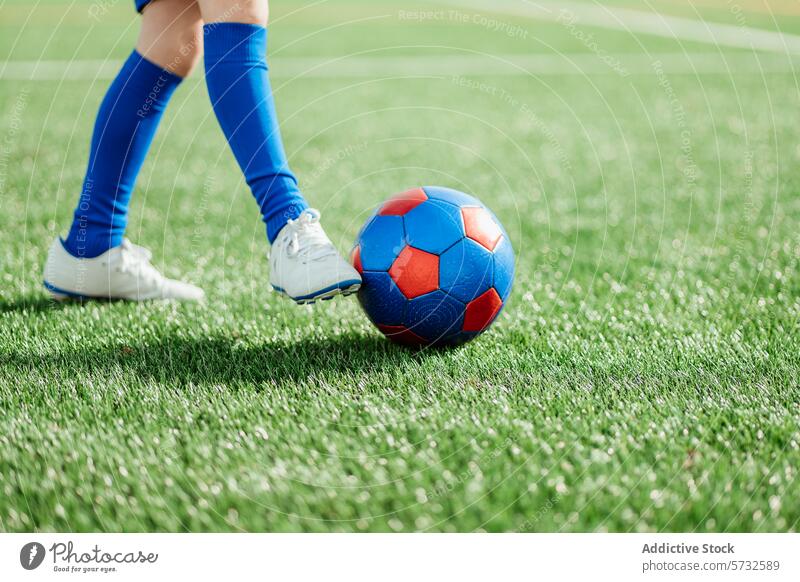 Fußballspieler bereitet sich darauf vor, den Ball auf dem Feld zu kicken Spieler Kick grün Gras blau rot Sport Aktion sportlich Stiefel Klampe Konkurrenz Gerät