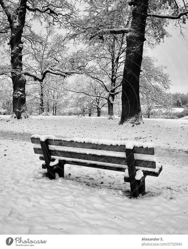 Eingeschneite Bank unter Bäumen im Park Schnee eingeschneite Bank Winter weiß Menschenleer kalt Einsamkeit Parkbank Sitzgelegenheit Holzbank Pause Erholung