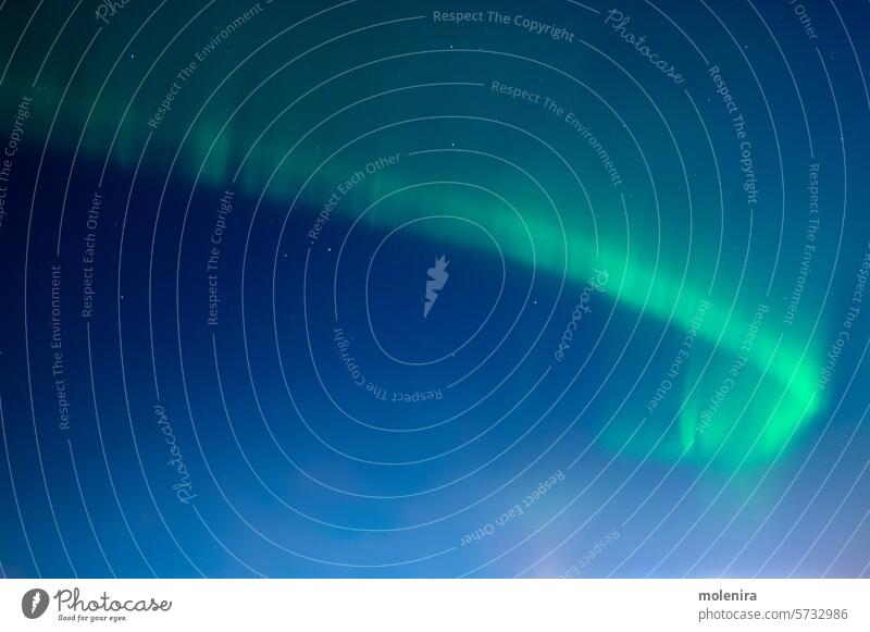 Grüne Aurora borealis am Nachthimmel polar Astronomie nördlich Norden Licht Natur Stern Himmel Nordlicht grün solar Wind leuchten keine Menschen Estland