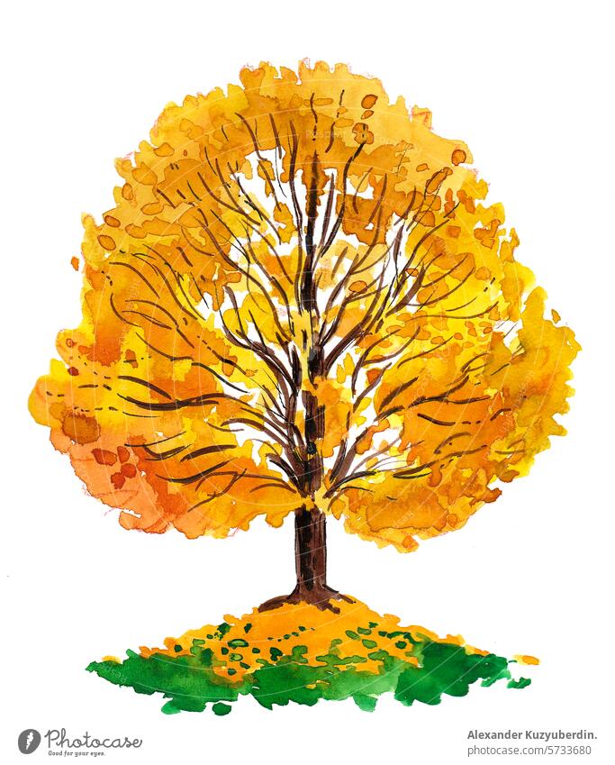 Gelber Aquarellbaum. Handgezeichnete Illustration im Retro-Stil gelber Baum Wasserfarbe Herbst fallen Saison Natur Kunst Kunstwerk Zeichnung Skizze