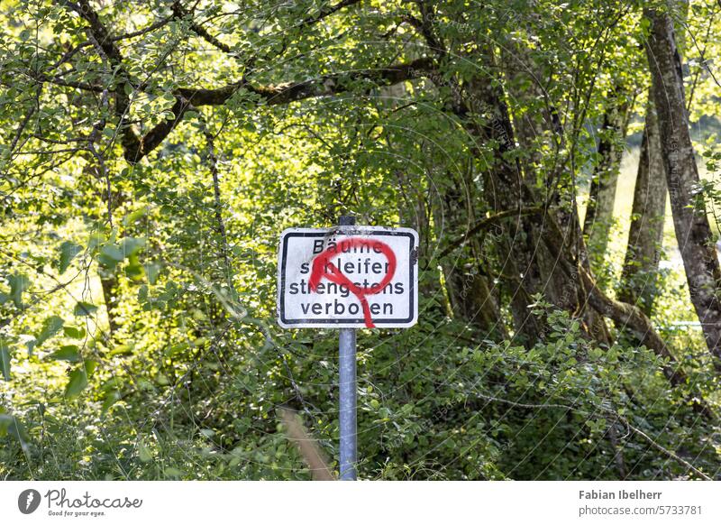 Verkehrszeichen verbietet das Schleifen der Bäume Sägewerk Forstwirtschaft Schild Wald Deutschland Forstweg